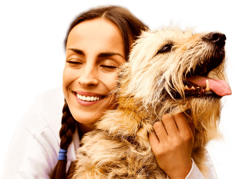 Home - ONG CãoDomínio